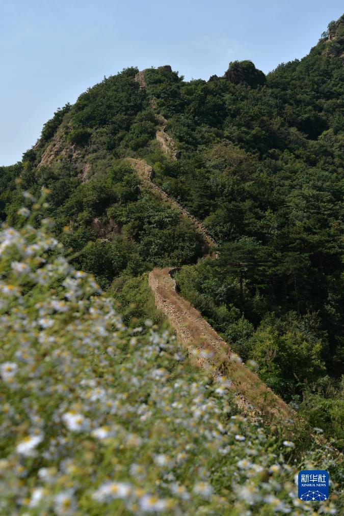 天辰登陆地址
